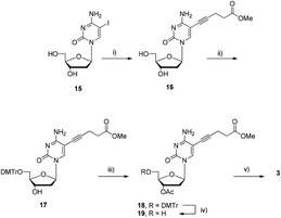 Synthesis of triphosphate dCValTP 3. Reagents and conditions: (i) 4-pentynoic acid methyl ester, Pd(PPh3)4, CuI, NEt3, DMF, rt, 12 h, 90%; (ii) DMTrCl, DMAP, NEt3, pyridine, rt, 18 h, 45%; (iii) Ac2O, DMAP, NEt3, pyridine, 0 °C, 1 h, 61%; (iv) DCAA, CH2Cl2, rt, 40 min, 92%; (v) 1. 2-chloro-1,3,2-benzodioxaphosphorin-4-one, pyridine, dioxane, rt, 45 min; 2. (nBu3NH)2H2P2O7, DMF, nBu3N, rt, 45 min; 3. I2, pyridine, H2O, rt, 30 min; 4. NaOH, H2O, 0 °C, 5 min, 9% (4 steps).