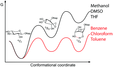 Schematic representation of conformational equilibria of naphthyl xylosides in different solvents.