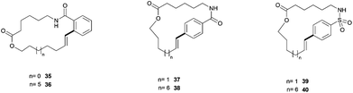 Suzuki-macrocyclisation products. The bond formed in the cyclisation step is indicated in bold.