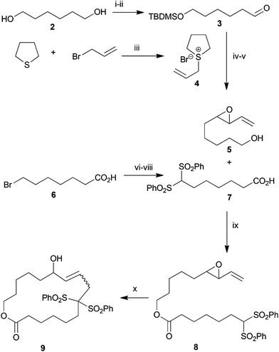 Synthesis of cyclisation substrate 8. (i) NaH, TBDMSCl, 67%; (ii) (COCl)2, DMSO, Et3N, DCM, −78 °C to rt, 88%; (iii) MeOH–H2O (9/1); (iv) 3, DCM–10 M NaOH (1/1), −20 °C to rt, 1 h, 80%; (v) NH4F, MeOH, reflux, 8 h, 65%; (vi) MeOH, H2SO4, 89%; (vii) (PhSO2)2CH2, NaH, DMF, 81%; (viii) LiOH, THF–MeOH–H2O (3/3/1), quant.; (ix) EDC, DMAP, DCM, RT, 12 h, 68%; (x) 10% Pd[PPh3]4, 20% dppe, syringe pump, 0.0015 M, THF, reflux, 64%.