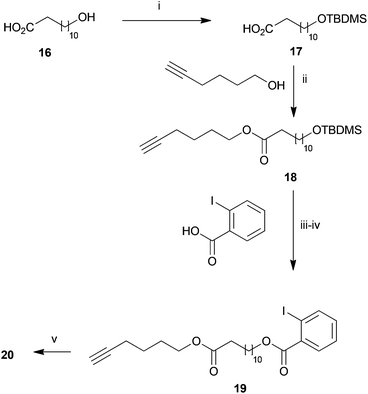 Synthesis of Sonogashira-cyclisation substrate 19. (i) TBMSCl, imidazole, 50%; (ii) EDC, DMAP, 83%; (iii) NH4F, quant.; (iv) 2-iodobenzoic acid, EDC, DMAP, 83%; (v) 20% Pd[PPh3]4, 20% CuI, 0.04 M, 1,4-dioxane–piperidine (2/1), 60 °C, 15 h, 22%.