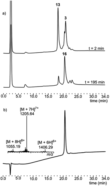 (a) KCL of fragment 1 MPAA thioester (3) and fragment 2 (13). (b) The purified N-terminal half of C1q-AFPP (Pro1-Phe71-COS-CH2CH2-Lys5) (16). Inset: the ESI-MS of the major peak, expected mass [M + 7H]7+ 1205.38, observed mass 1205.64.