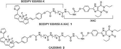 Previously reported fluorescent adenosine receptor ligands 121 and 2.4