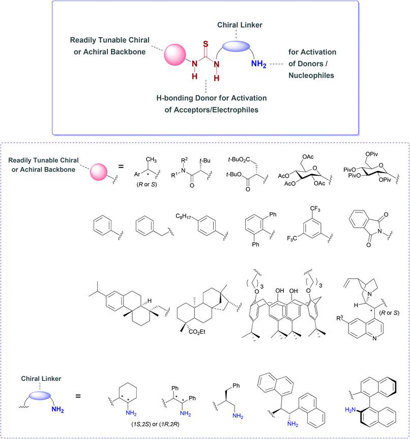 Schematic and general representation of primary amine-thiourea organocatalysts for dual activation of the substrates.