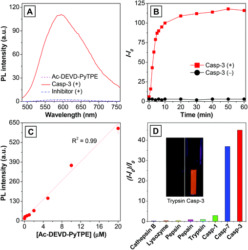 (A) PL spectra of Ac-DEVD-PyTPE upon treatment with caspase-3 in the presence and absence of inhibitor MPS (10 μM) in PIPES buffer. (B) Plot of I − I0versus time of Ac-DEVD-PyTPE with and without treatment of caspase-3 from 0 to 60 min. [caspase-3] = 5 μg mL−1, [Ac-DEVD-PyTPE] = 10 μM. (C) Plot of PL intensity versus concentrations of Ac-DEVD-PyTPE in PIPES buffer upon treatment with caspase-3. [caspase-3] = 5 μg mL−1. (D) Plot of (I − I0)/I0versus different proteins, where I and I0 are the PL intensities at protein concentrations of 20 and 0 μg mL−1, respectively. λex = 405 nm; λem = 610 nm. Inset: photographs taken under 365 nm UV illumination.