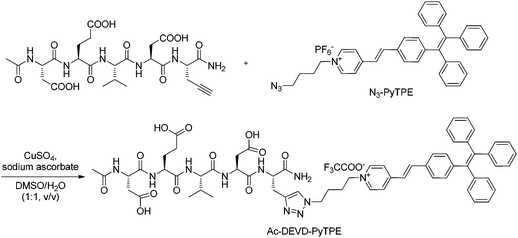 “Click” synthesis of probe Ac-DEVD-PyTPE.