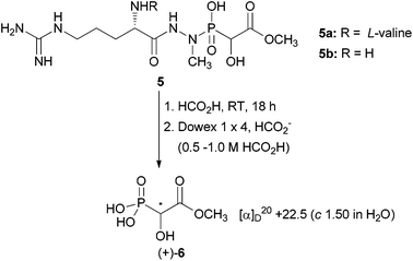 Partial hydrolysis of fosfazinomycins A and B to get phosphonic acid (+)-6 of unknown configuration.