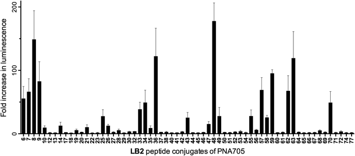 Fold increase in luminescence caused by PNA705 conjugates of LB2-peptides compared to a buffer blank induced by the conversion of Beetle luciferin into oxyluciferin by expressed luciferase via splicing redirection in HeLa pLuc705 cells at 5 μM conjugate concentration.