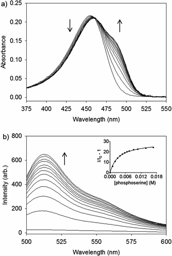 (a) UV/Vis and (b) fluorescence spectra of 2–Zn2+ (10 μM) with aliquots of 100 mM phosphoserine in buffer (50 mM HEPES, 100 mM NaCl, pH 7.4). λex = 488 nm. λem = 513 nm. Inset is the fit to a binding isotherm.