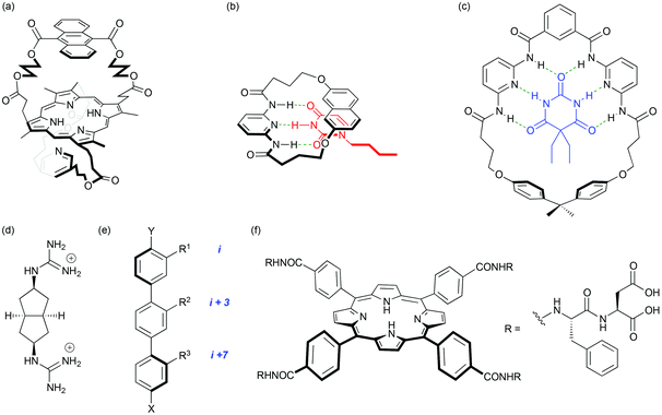 (a) A porphyrin with an anthracene bridge across one face and a pyridine bridge across the other; this molecule binds Fe(ii) and mimics the structural features and properties of natural oxygen-carrying systems; (b) nucleotide base recognition with a molecular hinge; (c) a macrocyclic tetra-amide barbiturate binder. Seminal work in the development of proteomimetics: (d) selective binding of aspartate pairs in helical peptides with a guanidinium-based receptor; (e) the terphenyl – an early α-helix mimetic; (f) a tetraphenylporphyrin binder of cytochrome c illustrating the importance of both hydrophilic and hydrophobic interactions.