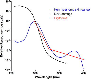 Known action spectra within the skin. Three action spectra are shown: non-melanoma skin cancer (blue), DNA damage (black) and erythema (red). These follow a similar pattern, suggesting that they may have a common chromophore. They peak within the UVC/UVB range and decline as the wavelength increases. It should be noted however, that the action spectrum for DNA damage is calculated using data from cultured cell and adjusted for transmission through the human epidermis. This makes it difficult to directly compare with the other 2 in vivo spectra as the optics of the epidermis will affect transmission and some chromophores (e.g. DNA) can act as “sunscreens” to UVR.