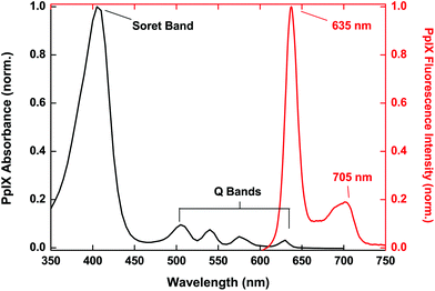 Broad PpIX absorption spectrum together with characteristic PpIX fluorescence emission with a dominant peak at 635 nm.