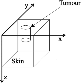 Three-dimensional (3D) MCRT model geometry, where x, y are mutually orthogonal axes in the skin surface and z represents depth within the skin tissue.19