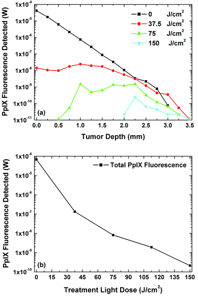 (a) PpIX fluorescence detected at the surface that has originated from varying depths in the tumour with increasing light dose in the treatment and fluorescence simulations. (b) Total PpIX fluorescence detected at the surface of the tumour with increasing light dose in the treatment and fluorescence simulations.19