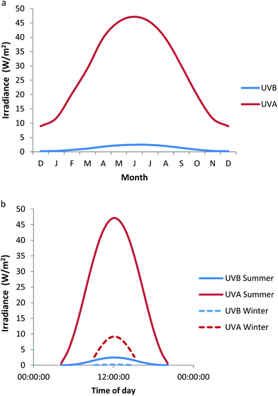 Variation of UVB and UVA irradiance at Chilton, UK (a) monthly at noon on the 21st day of each month (b) daily at summer and winter solstices. These data have been modeled taking total ozone into account.2