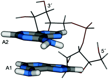 Depiction of the adenine dinucleotide (as optimized at the MP2/SV(P)-SV level in solution). The labelling of the two units (A1, A2) and the position of the 5′- and 3′-ends of the backbone are indicated.