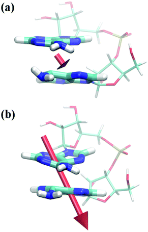 Depiction of ApA structures optimized at the ADC(2)/SV(P)-MM level in gas phase on the S1 surface for fixed dC6C6 distances of (a) 2.6 Å and (b) 2.2 Å. Transition dipole moments corresponding to (a) f = 0.005 and (b) f = 0.035 are plotted as well.