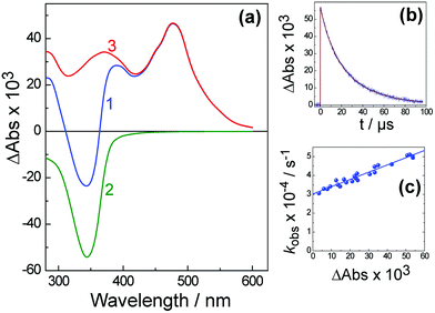 The triplet–triplet absorption spectrum (a) and its decay (b) of H3L in water recorded 50 ns after laser excitation at 355 nm. Curve (c) shows the dependence of kobs of T–T absorption decay at 470 nm on the value of absorption (ΔA). In frame (a): (1), the measured differential T–T absorption; (2), the UV/Vis spectrum of the complex showing the naphthalimide absorption; (3), the difference between (1) and (2), i.e. the T–T absorption spectrum.