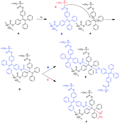 Proposed mechanism for the photocrosslinking of P1.