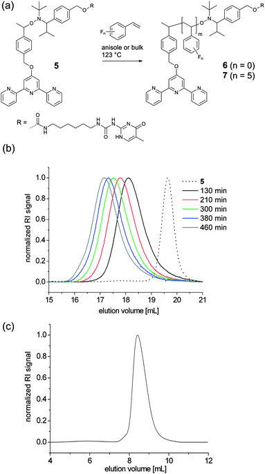 Schematic representation of the polymerization of styrenic monomers using 5 as an initiator (a) and SEC traces of polystyrenes 6c–g with increasing polymerization time (b) and of poly(pentafluorostyrene) 7 (c). Eluent: N,N-dimethyl acetamide for polystyrene and chloroform for poly(pentafluorostyrene).