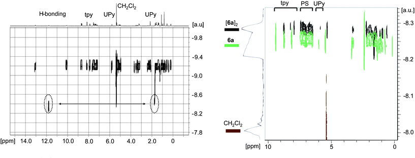 Left: 2D DOSY spectrum of (5)2 revealing the exchange of water with a hydrogen bonding proton of the UPy moiety (400 MHz, CD2Cl2, 298 K). Right: comparison of the 2D DOSY spectra for 6a (green, CD2Cl2 and TFA) and (6a)2 (black, CD2Cl2) demonstrating the same significant change of the diffusion coefficients for signals of tpy, UPy and polystyrene (for both spectra: 400 MHz, 298 K).