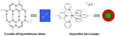 Schematic representation of the chemical structure of the 2-ureido-4H-pyrimidinone quadruple hydrogen bonding array (left) and the terpyridine metal ion complexes (right).