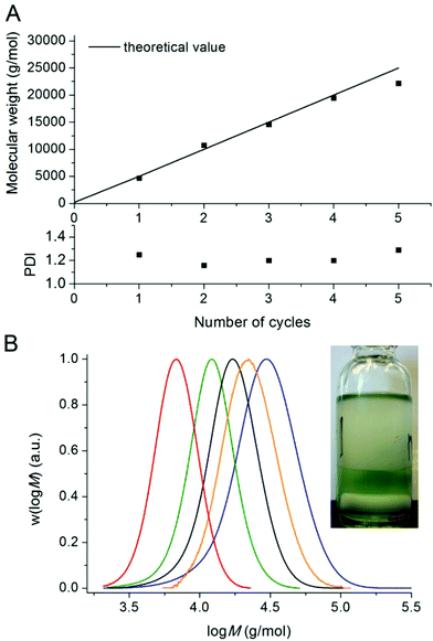 Number-average molecular weights, PDI values and molecular weight distributions for five successive chain extensions of poly(n-butyl acrylate) >99% conversion in Fig. 1 with n-butyl acrylate by use of Cu(0)-mediated radical polymerisation in DMSO at ambient temperature.