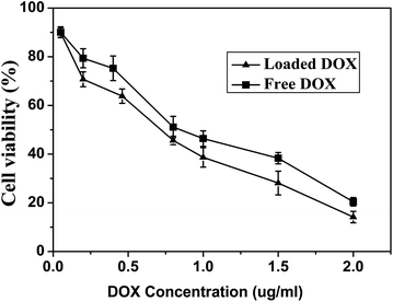 The viability of HeLa cells after being cultured for 48 h with DOX-loaded H40-star-PCL-A:U-PEG micelles and free DOX was used as the control.