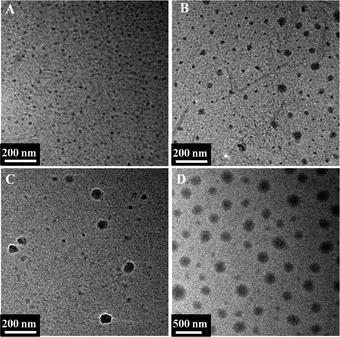 TEM microscope images of self-assembled H40-star-PCL-A:U-PEG micelles with different ratios of hydrophobic and hydrophilic segments. The ratio of adenine and uracil was: (A) 1 : 1; (B) 1 : 0.8; (C) 1 : 0.6; (D) 1 : 0.4.
