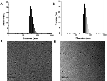 DLS plots: (A) H40-star-PCL-A:U-PEG micelles; (B) DOX-loaded micelles. TEM microscope images: (C) H40-star-PCL-A:U-PEG micelles; (D) DOX-loaded micelles.