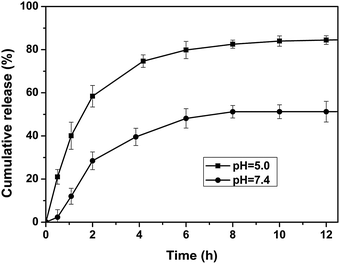 Release profiles of DOX from DOX-loaded H40-star-PCL-A:U-PEG micelles at different pH values (7.4 and 5.0) at 37 °C.