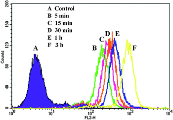 Flow cytometry histogram profiles of HeLa cells that were incubated with DOX-loaded H40-star-PCL-A:U-PEG micelles for different time intervals.