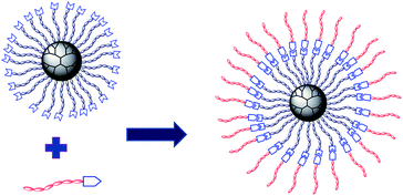 Supramolecular amphiphilic multiarm hyperbranched copolymer : synthesis ...