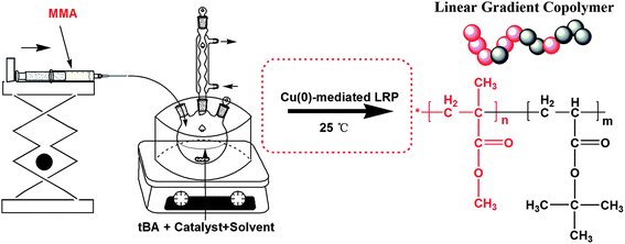 Experimental apparatus for the semibatch Cu(0)-mediated LRP.