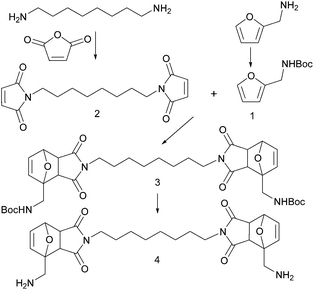 Synthesis of diamine cross-linker (4) with two adducts.