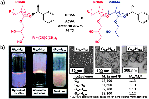 (a) RAFT aqueous dispersion polymerization of HPMA monomer using a PGMA54 macro-CTA at 10 wt% and 70 °C. (b) Digital photographs and TEM images of three G54-Hn copolymer dispersions with the corresponding molecular weight data.28
