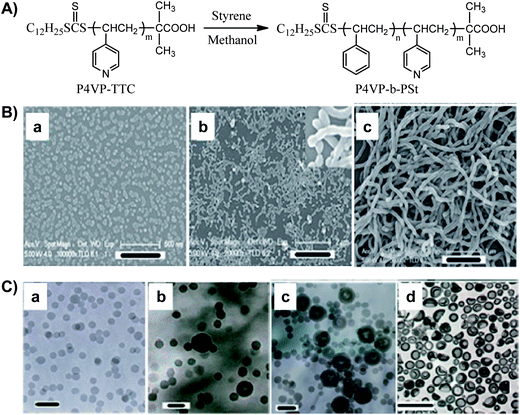 (A) RAFT polymerization of styrene in methanol using P4VP–TTC as macro-CTA. (B) FESEM images of the polymeric aggregates prepared by RAFT polymerization for 3 h (a), 4 h (b), and 24 h (c). Scale bar: (a) 500, (b) 2000, (c) 1000 nm. (C) TEM images of the polymeric aggregates with another different feed ratio at different polymerization times: 2 h (a), 4 h (b), 6 h (c), and 24 h (d). Scale bars: (a) 100 nm, (b and c) 200 nm, (d) 1000 nm.13,15