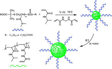RAFT dispersion polymerization of N-isopropylacrylamide for the preparation of nanostructured hydrogels.21
