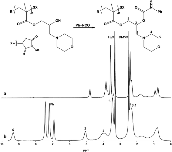 NMR spectra of PHMPMA (a), and after functionalization with phenyl isocyanate (b).