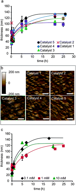 Effect of ROMP catalyst parameters on CAPROMP: (a) film thickness as a function of time of CAP films prepared using different ROMP catalysts, as determined by ellipsometry; (b) height-mode AFM images (scale bar = 1 μm) of P1 films prepared using different ROMP catalysts (after 25 h); and (c) film thickness as a function of time of CAP films prepared from substrates functionalized using different concentrations of catalyst 3, as determined by ellipsometry. Error bars: ±standard deviation (n = 3). Lines are to guide the eye.