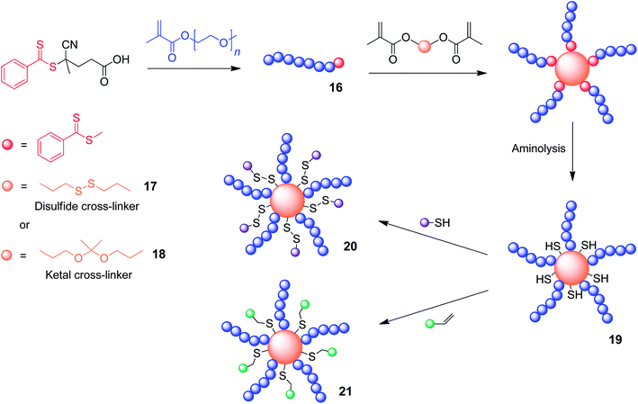 The formation of core cross-linked star polymers through the incorporation of either acetal or disulfide containing dimethacrylate monomer units during polymerization.50