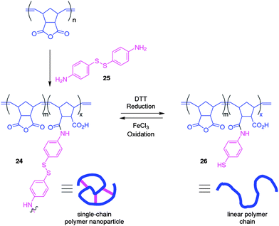 Single chain polymer nanoparticles are formed through the intramolecular cross-linking of polymer chains with a diimine cross-linker. Because of the disulfide bond present within the cross-linker, the nanoparticles are redox responsive and can be reversibly switched to linear polymer chains.65