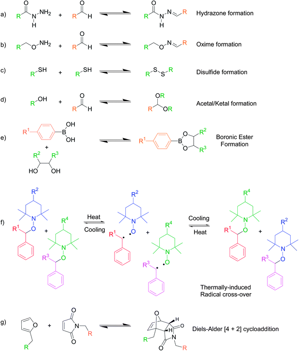 Examples of DCBs commonly used in to endow polymeric nanoparticles with the virtues of stimuli-responsiveness. (a) Hydrazone formation, (b) oxime formation, (c) disulfide formation, (d) acetal/ketal formation, (e) boronic ester formation, (f) thermally induced radical cross-over reactions, and (g) Diels–Alder [4 + 2] cycloadditions.