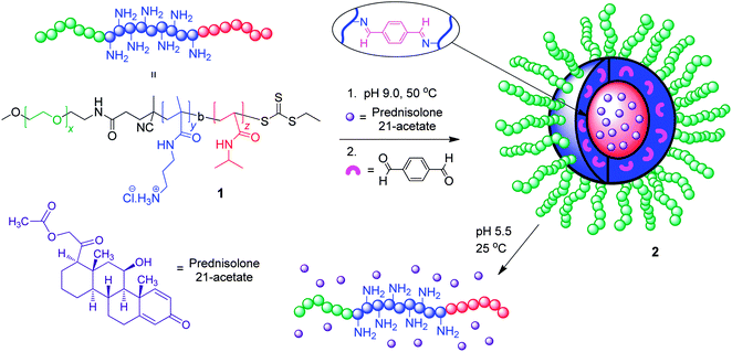 Imine shell cross-linked micellar assemblies possessing pH- and thermoresponsive characteristics.22