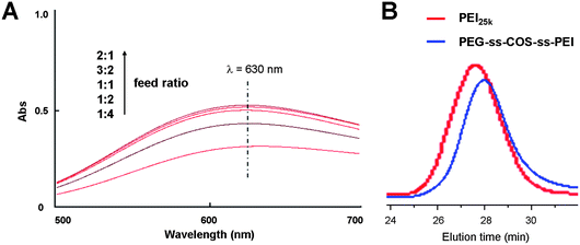 (A) The UV absorption spectra of copper chelates of PEG-ss-COS-ss-PEI prepared by different feed ratio of PEI to the COS monomers. (B) The representative GPC trace of PEG-ss-COS-ss-PEI.