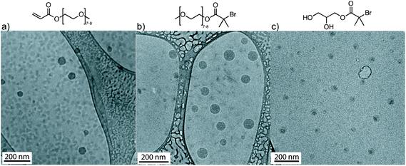 Cryo-TEM of OEOMEA, and initiators 1 and 2 in H2O at 20 mg mL−1. The dispersions were prepared by the injection of a THF solution of OEOMEA and of initiators 1 and 2 in water.