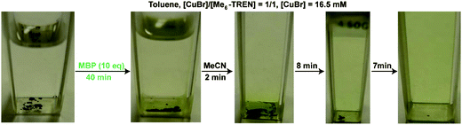 Visual observations of Cu(0) nanoparticles and CuBr2 generated from the disproportionation of CuBr/Me6-TREN in toluene before and after the activation with MBP at 25 °C. MBP was added to the disproportionation mixtures after 40 min, followed by addition of 1.8 mL of MeCN. Conditions: toluene = 1.8 mL, [CuBr] = 16.5 mM, [MBP]/[CuBr]/[Me6-TREN] = 10/1/1.