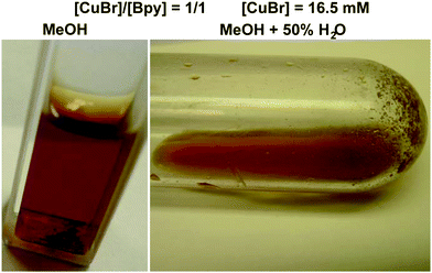 Visual observation of the disproportionation of CuBr–bpy in MeOH and MeOH + 50% H2O at 25 °C. Conditions: solvent = 1.8 mL, [CuBr] = 16.5 mM, [CuBr]/[bpy] = 1/1. Pictures were taken 10 min after mixing the reagents.