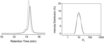 SEC measurements on polymer P5a in THF (left) and intensity distribution versus hydrodynamic diameter (Dh) from DLS measurements on polymer P5a in THF (right), before (grey) and after deprotection (black) of the photocleavable group.