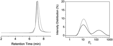 SEC measurements on polymer P5a in CHCl3 (left) and intensity distribution versus hydrodynamic diameter (Dh) from DLS measurements on polymer P5a in CHCl3 (right), before (grey) and after deprotection (black) of the photocleavable group.